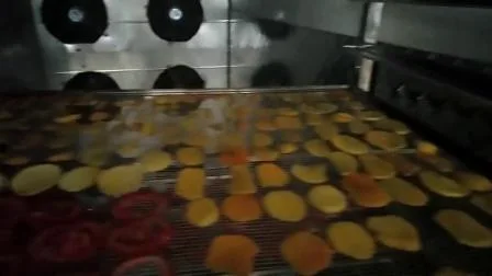 Machine de dessiccateur industriel de fruit et de légume de divers type de séchage de tomate de poisson de nourriture